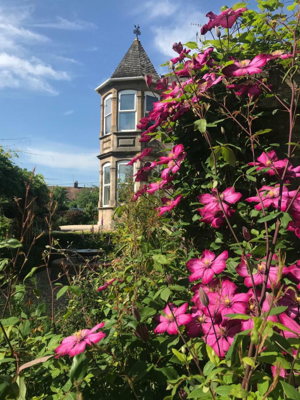 Evershot  Holywell House B & B מראה חיצוני תמונה